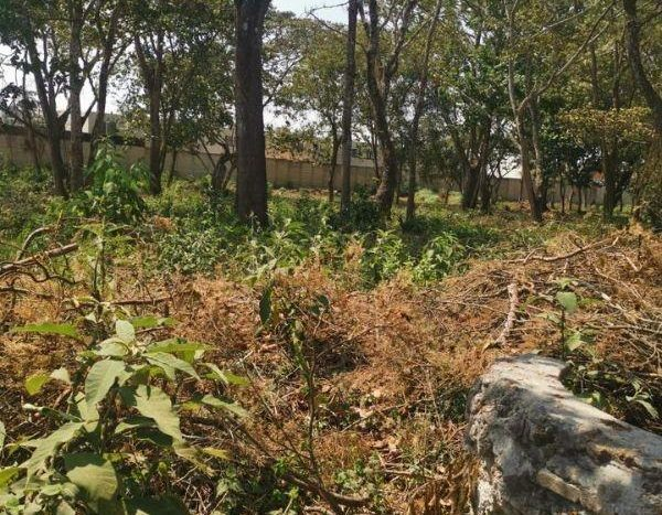 Terreno En Venta En Bosques De San Nicol S El Naranjo Mixco Zona