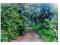 Se vende amplia finca en San José Pinula Se vende amplia finca en San José Pinula