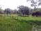 Se Vende Amplio Terreno de 455 M2 en la Zona 1 Se Vende Amplio Terreno de 455 M2 en la Zona 1