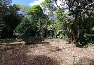 Terreno en venta con excelente vista ubicado en condominio exclusivo - Miniatura 4