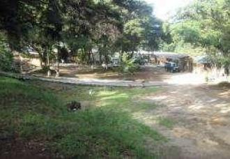 Se vende amplio terreno en zona 10, Guatemala. Colonia Okland - Miniatura 5