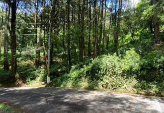 TERRENO EN VENTA EN ZONA 7 LA CALZADA SAN JUAN - Miniatura 2