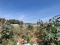 ¡Oportunidad Única en Ciudad de Guatemala! Terreno en Venta o Alquiler, de 1,400 m2 en Colonia Venecia I, Zona Industrial - Boulevard Los Reformadores, Villa Nueva, Zona 4