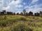 Extenso Terreno en venta, 6 370 m2. Lo ubicas en Km. 66 de Zaragoza Chimaltenango, Guatemala