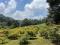 En venta amplio Terreno, lo puedes ubicar en Santiago Sacatepéquez, Guatemala En venta amplio Terreno, lo puedes ubicar en Santiago Sacatepéquez, Guatemala