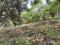 Se vende extenso Terreno, lo p uedes ubicar en San Cristóbal, El Alto Antigua Guatemala
