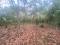 Se vende amplio Terreno, ubicado en El Tejar, Chimaltenango. Guatemala Se vende amplio Terreno, ubicado en El Tejar, Chimaltenango. Guatemala