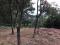 En venta amplio Terreno, ubícalo en Santa Catarina Pinula, Guatemala En venta amplio Terreno, ubícalo en Santa Catarina Pinula, Guatemala
