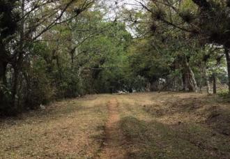 Se vende terreno amplio en Zona 18 - Miniatura 5