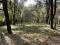 Venden extenso Terreno, 4.133.52 m2. Inversionistas lo pueden ubicar en el Encinal, zona 7 de Mixco, Guatemala Venden extenso Terreno, 4.133.52 m2. Inversionistas lo pueden ubicar en el Encinal, zona 7 de Mixco, Guatemala