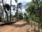 Terreno en Venta de 7 manzanas km 26.5 a Santa Elena Barillas