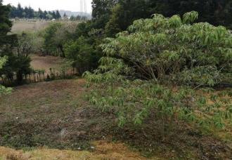 Se Vende Terreno de 1137. 24 V²  en zona 14 - Miniatura 2