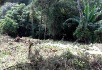 Se vende amplio terreno en zona 10, Guatemala. Colonia Okland - Image 1