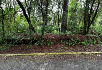 TERRENO EN VENTA EN ZONA 7 LA CALZADA SAN JUAN - Miniatura 5